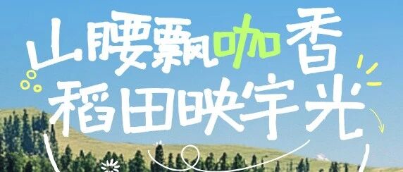 山腰的咖啡香，稻田的宇宙光推送头图